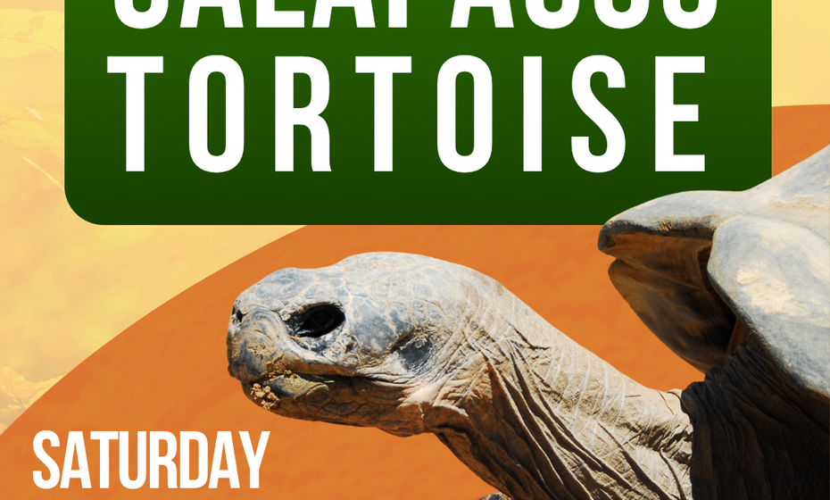 Reopening of the Galápagos Tortoise Exhibit and Birthday Party  