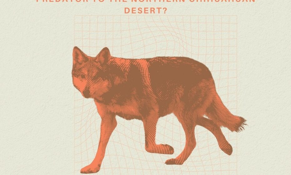 Conservation at the Crossroads – War against the wolf