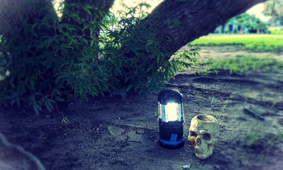 Ghost Stories, Legends, & Lore at Album Park
