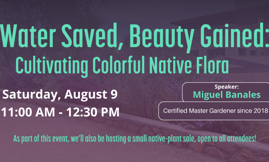 Water Saved, Beauty Gained: Cultivating Colorful Native Flora