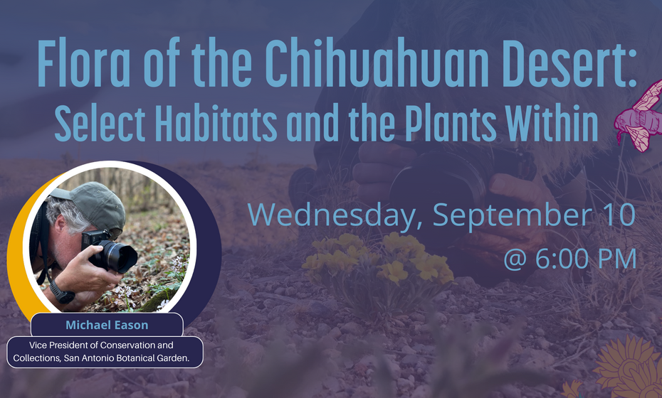 Flora of the Chihuahuan Desert: select habitats and the plants within