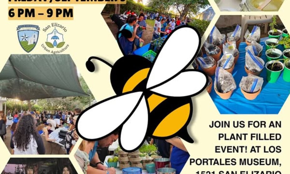 Bee Real Event