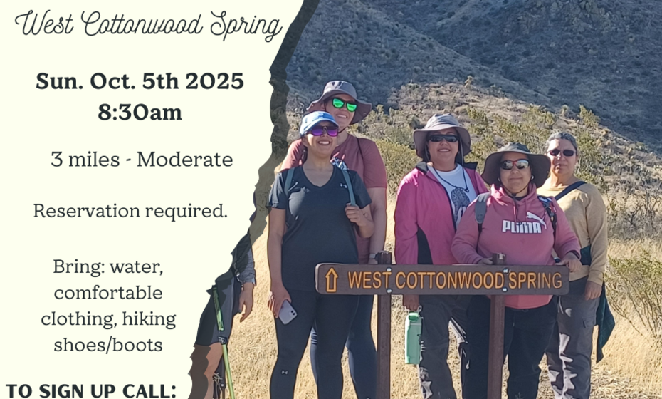 Women Hike: West Cottonwood Spring 
