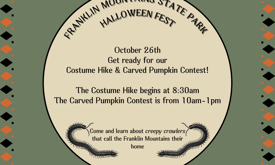 Halloween Fest: Creepy Critters!