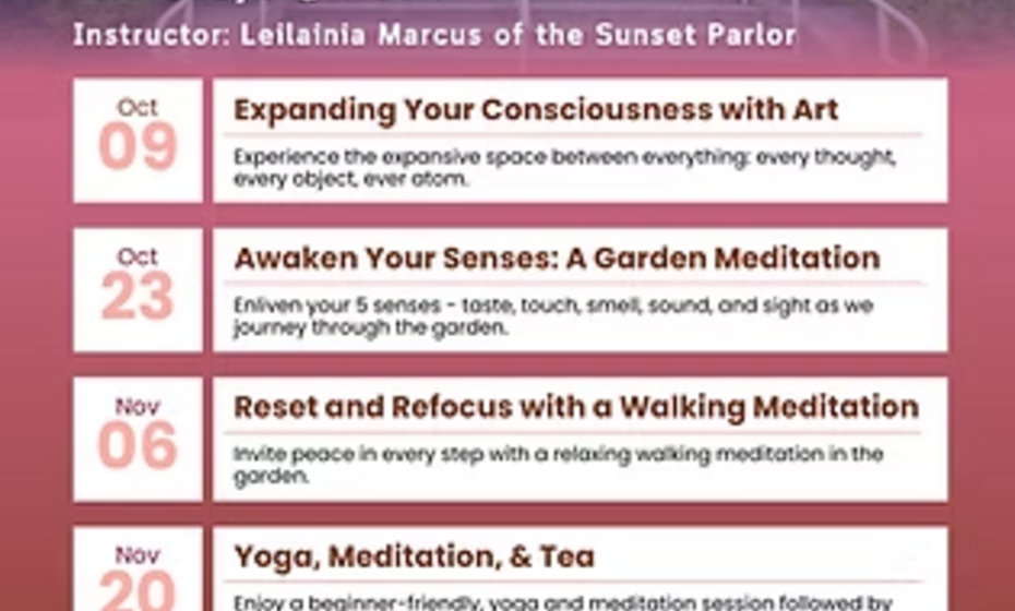 Mindfulness at the Museum: Fall 2025 Series