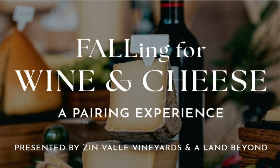 FALLing for WINE & CHEESE: A Pairing Experience