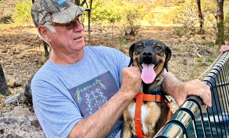 Hike With Homeless Dogs
