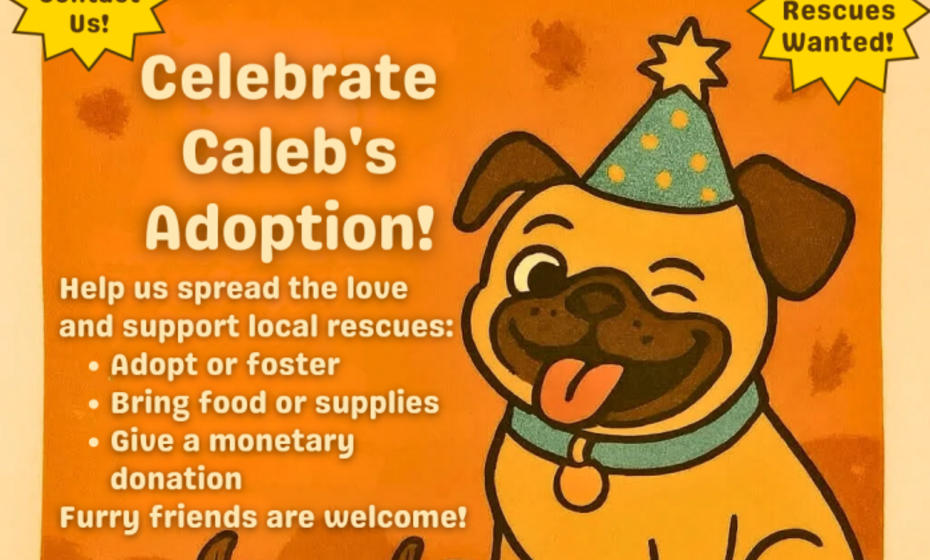 Celebrate Caleb’s Adoption Day