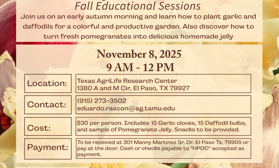 Garlic, Daffodils, & Pomegranate Jelly 101