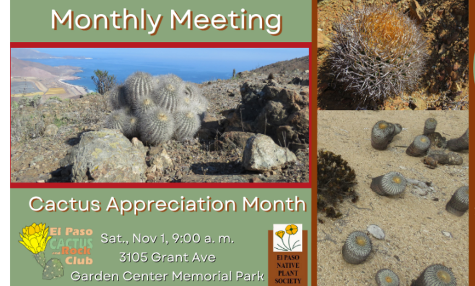El Paso Cactus and Rock Club Monthly Meeting