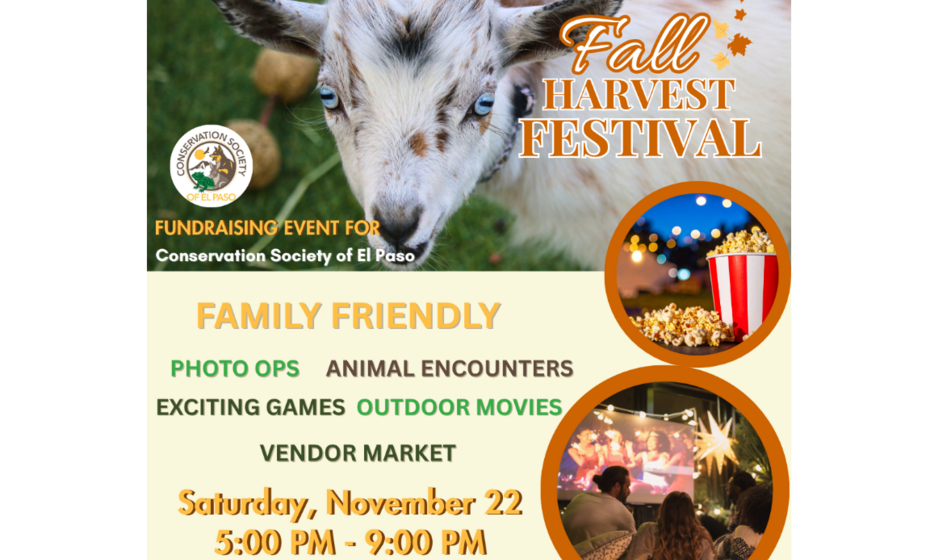Fall Harvest Festival