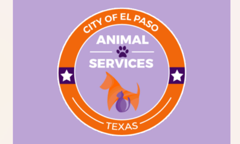 Free Adoption & Microchipping Event