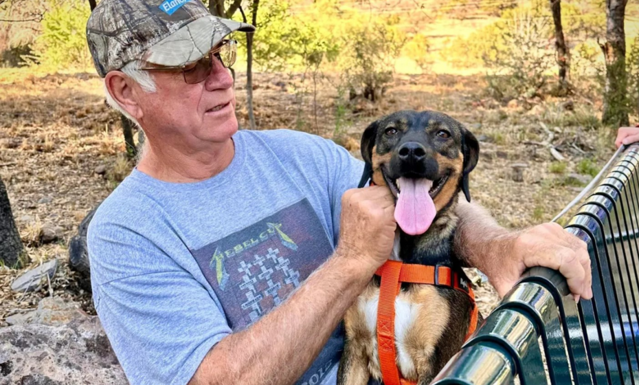 Hike With Homeless Dogs