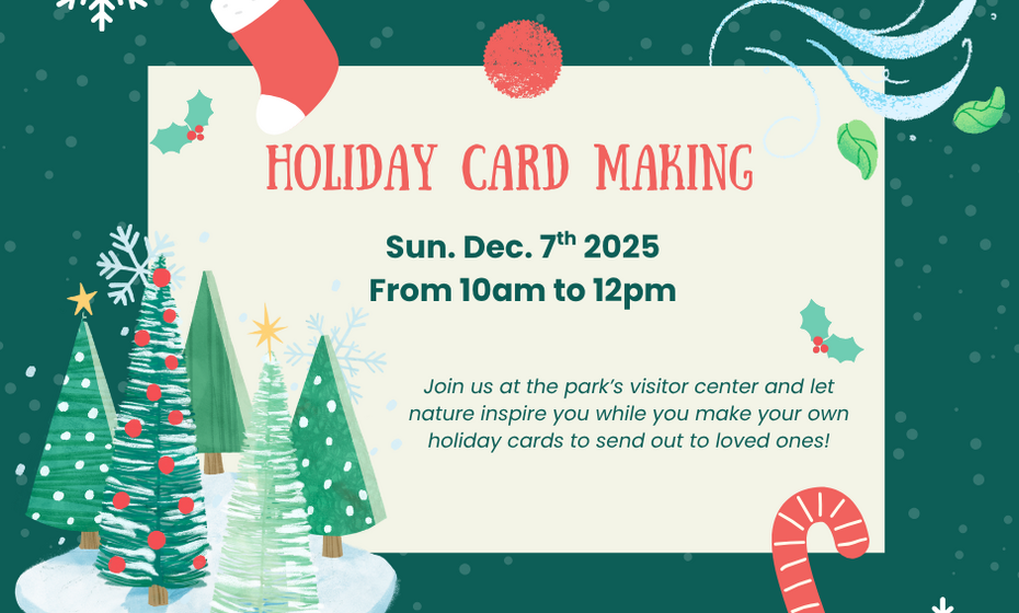 Holiday Card Making