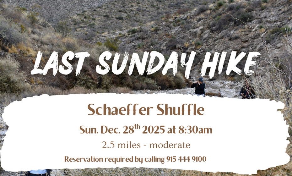 Last Sunday Hike at Schaeffer Shuffle