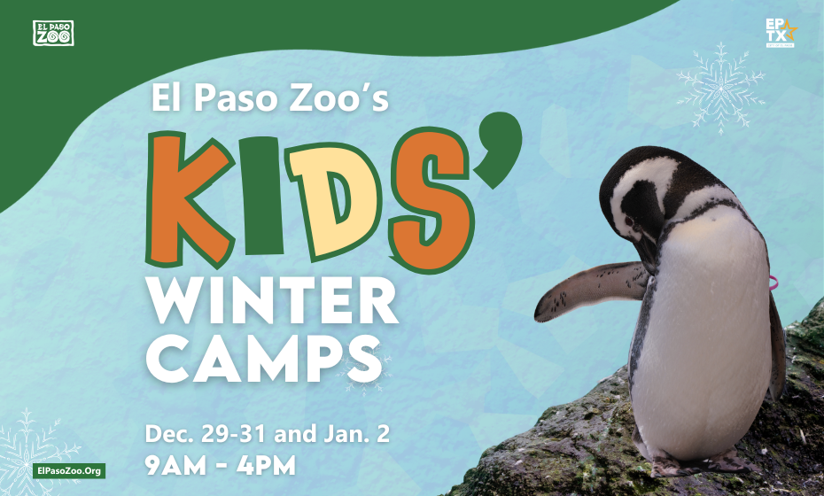 Kids' Winter Camp