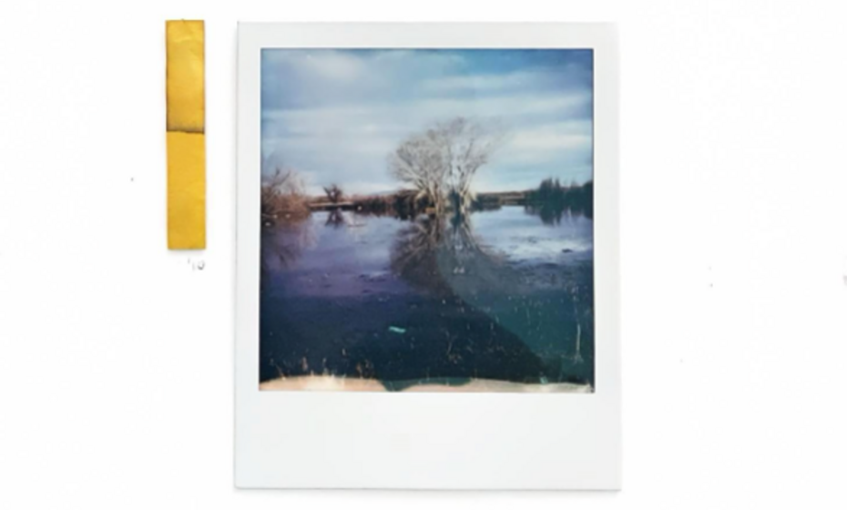 Plumas, Colores, y Vida en El Río Bravo 