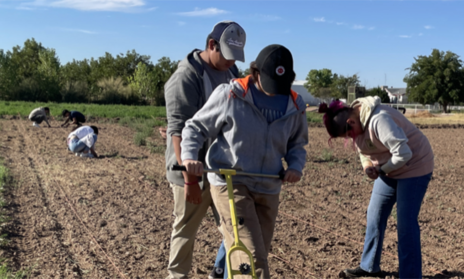 The Art and Flavor of Desert Foods at the MACC 