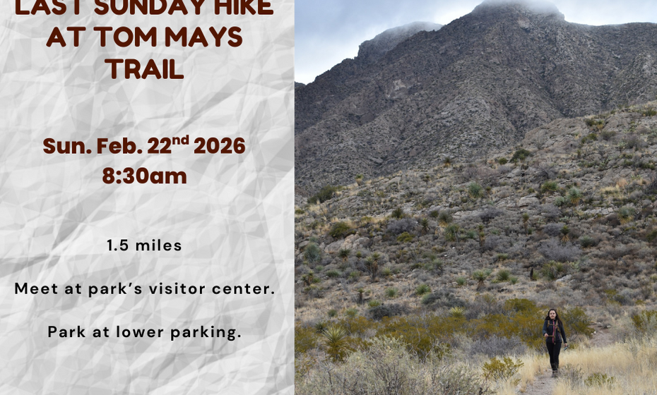 Last Sunday Hike at Tom Mays Trail 