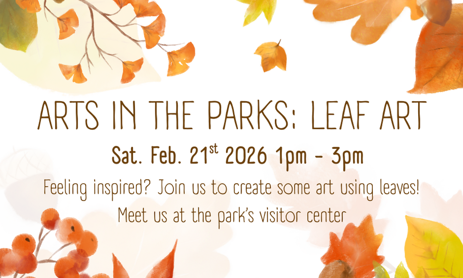 Arts in the Parks: Leaf Art