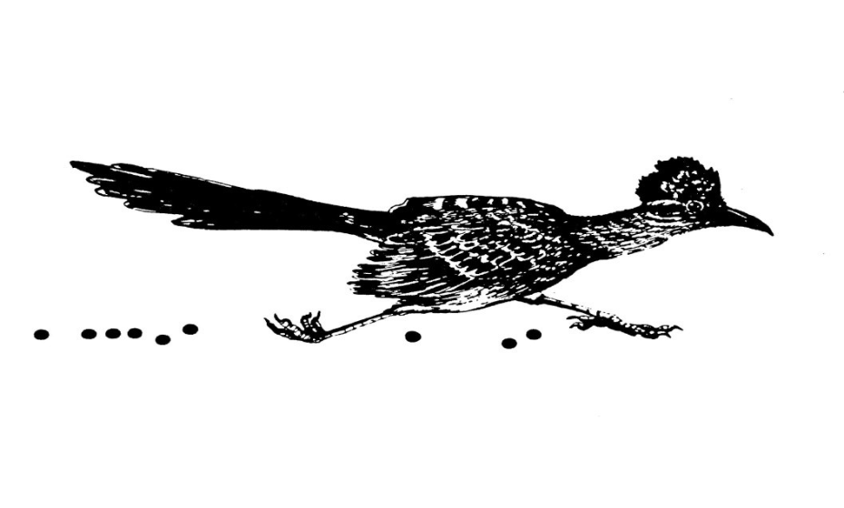 Rio Bosque Birding Tours