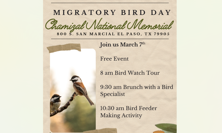 Migratory Bird Day