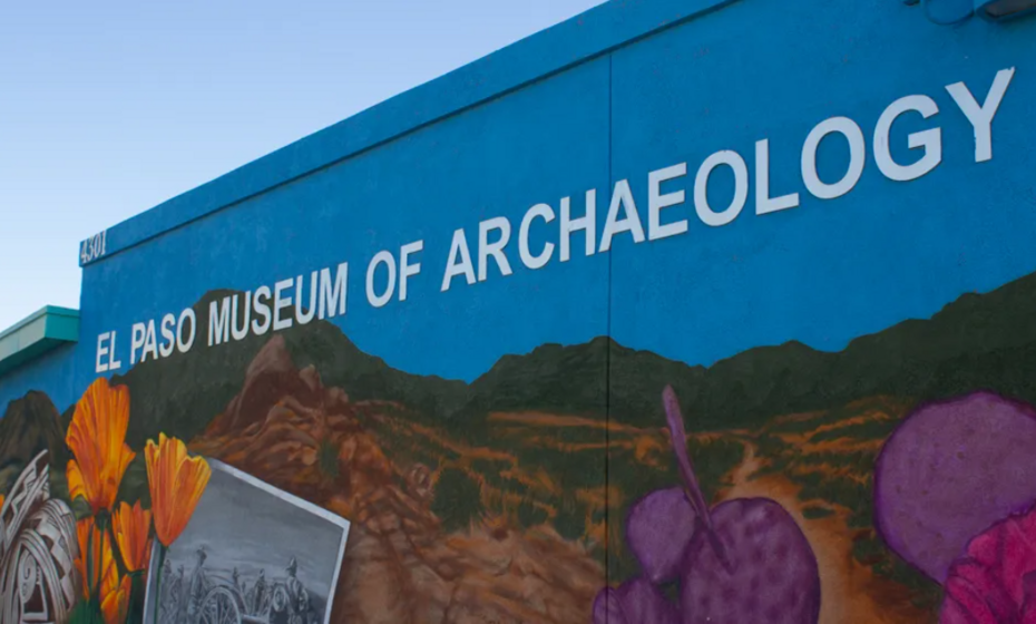 Poppies Fest: Color By Numbers Moveable Mural