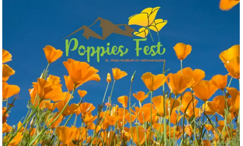 Poppies Fest: Color Your Own Poppy Button