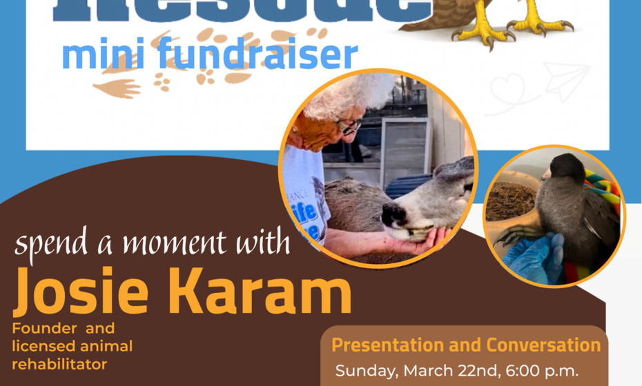 Second Chance Wildlife Rescue Mini Fundraiser