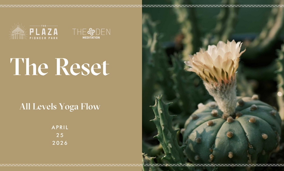 The Reset | All Levels Yoga Flow