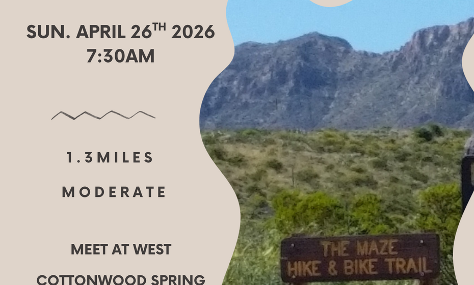 Last Sunday Hike at Agave Loop