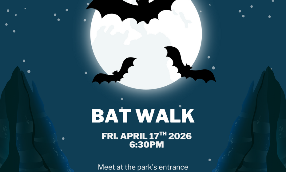 Bat Walk