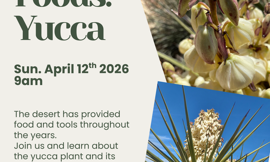 Native Foods: Yucca