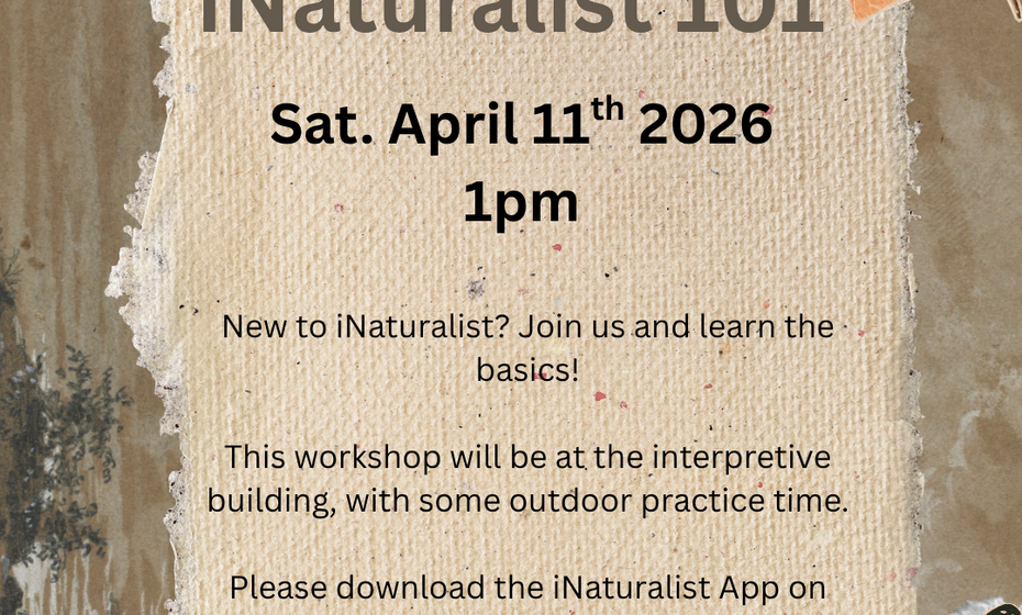 iNaturalist 101: Gearing up for City Nature Challenge!