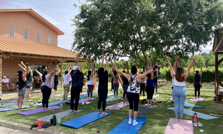 Yoga + Wine in the Vineyard