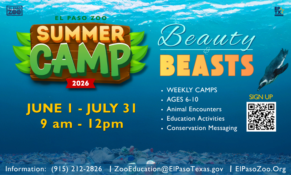 Summer Zoo Camps