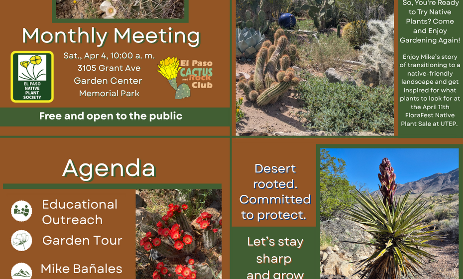 El Paso Cactus and Rock Club Monthly Meeting