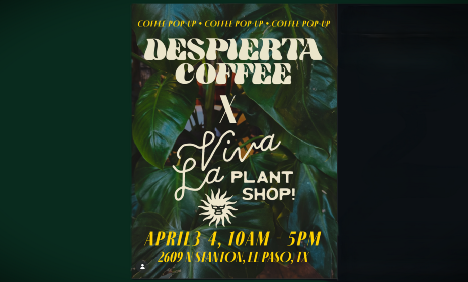 Despierta Coffee X Viva La Plant Shop