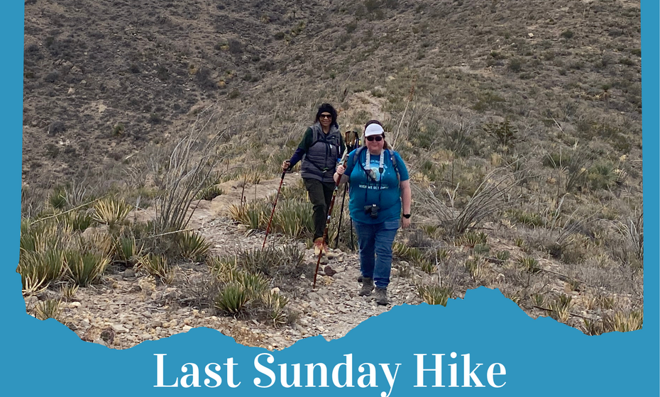 Last Sunday Hike at Upper Sunset and Tom Mays trails