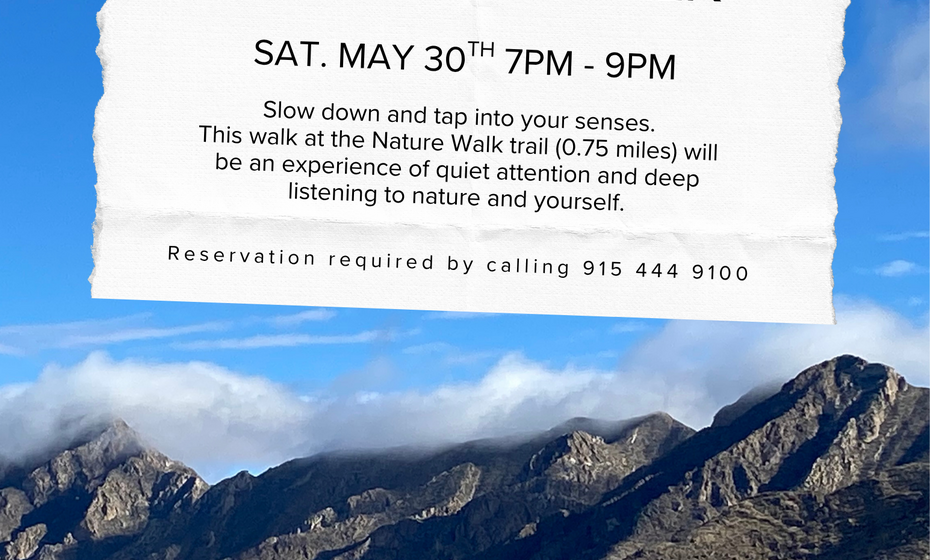 Full Moon Nature Therapy Walk