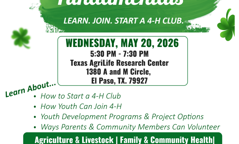 4-H Fundamentals