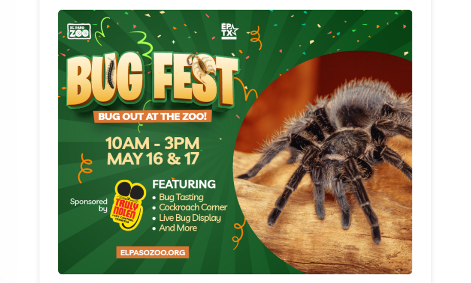 Bug Fest