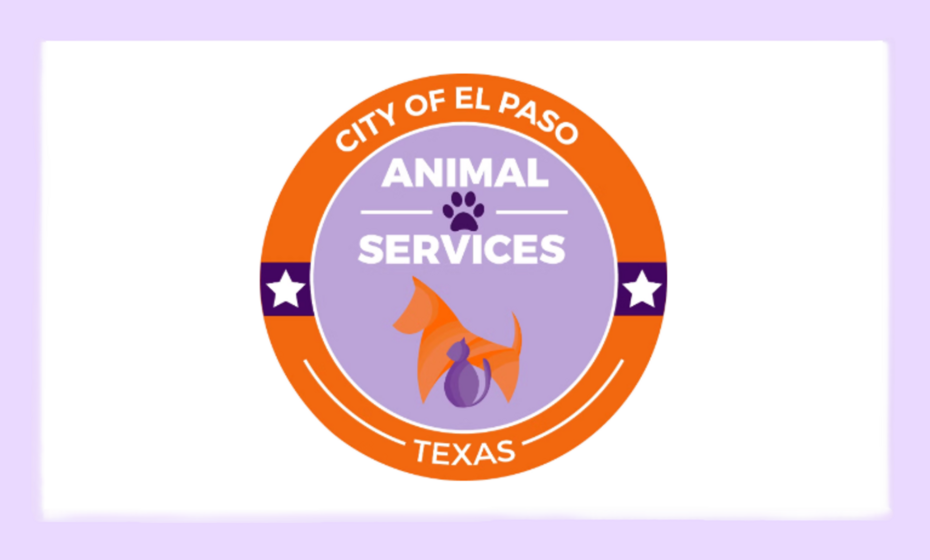 Teen Service Day