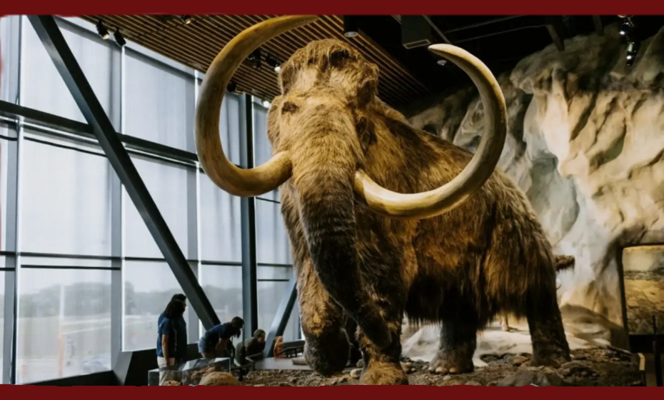 Ancient Animals!