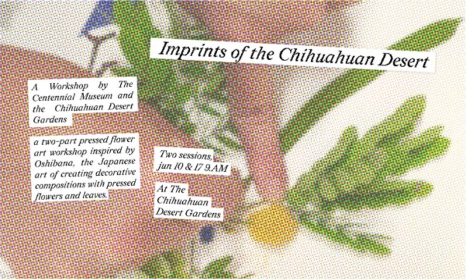 Imprints of the Chihuahuan Desert  (1st session)