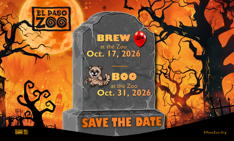 Save The Date: Brew and Boo at the El Paso Zoo!