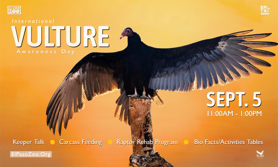 International Vulture Awareness Day (IVAD)