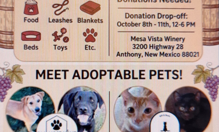 Silent Auction to Benefit "I'm Almost Home Animal Rescue and Kitty Tales Rescue"