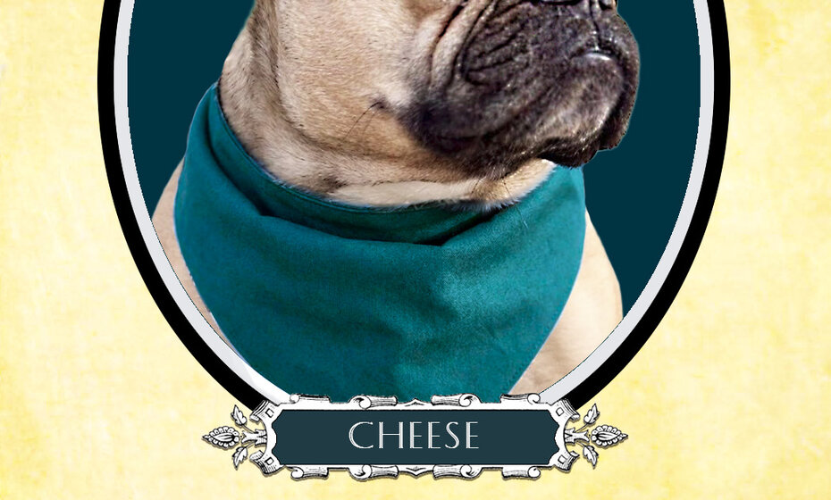 Dog Halloween Costume Contest