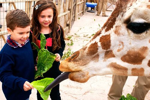 9 Places to Take the Kids